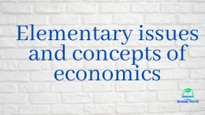 Elementary issues and concepts of economics