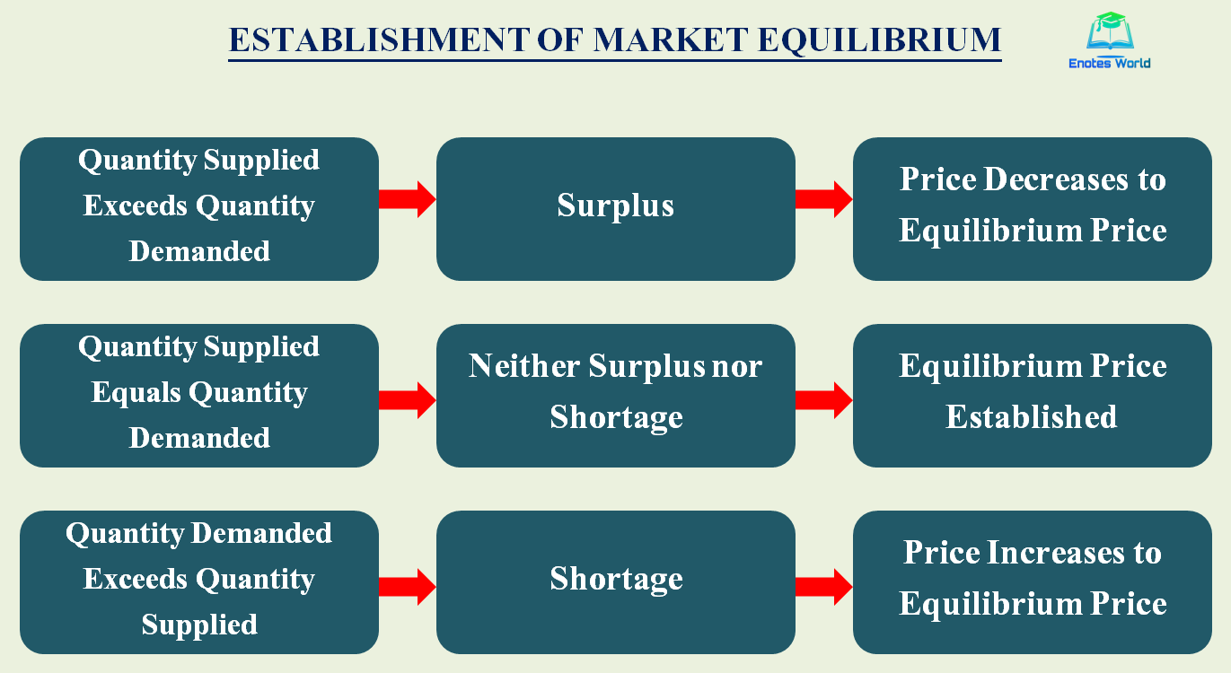 Establishment of Market Equilibrium