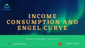 Income Consumption and Engel Curve