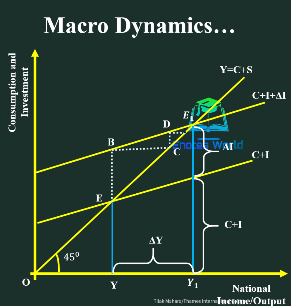 Macro Dynamics